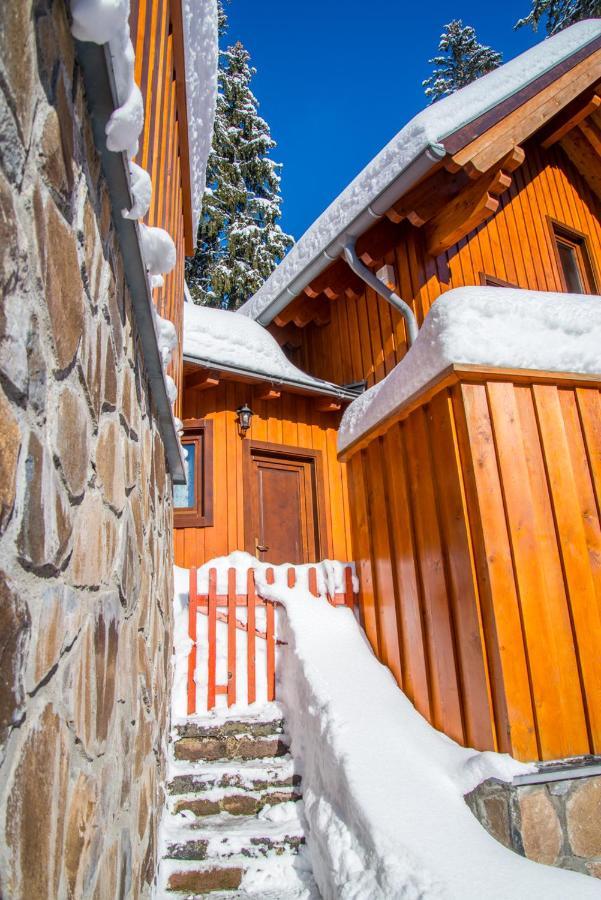 Mandel Csaladi Pihenohaz Villa Harghita-Băi Dış mekan fotoğraf